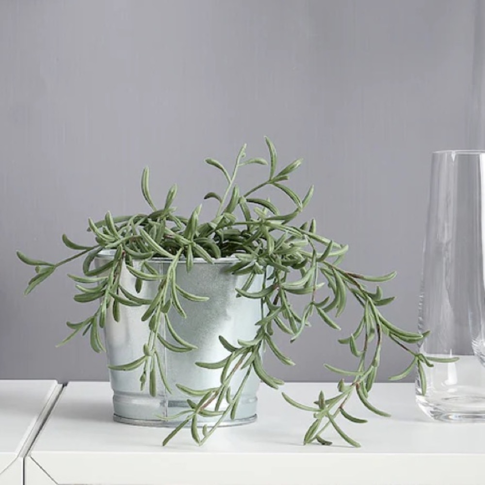 Realistic Faux String of Bananas Houseplant